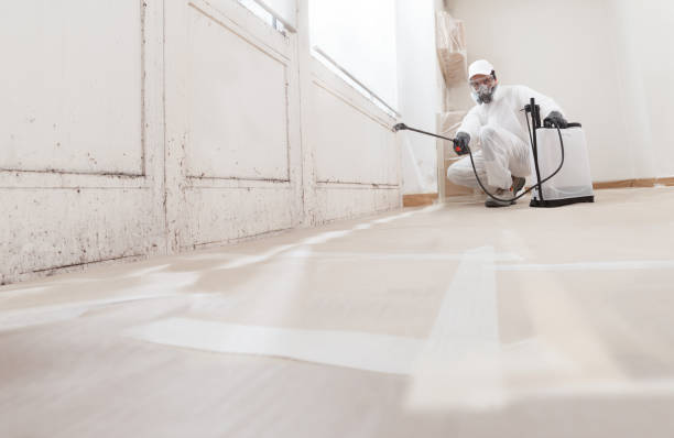 24/7 Emergency Mold Inspection experts in Waban, MA