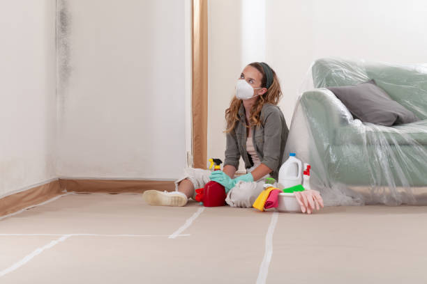 Reliable Mold Inspection contractor in Waban, MA by WQB Mold Removal